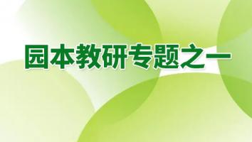 园本教研专题之一